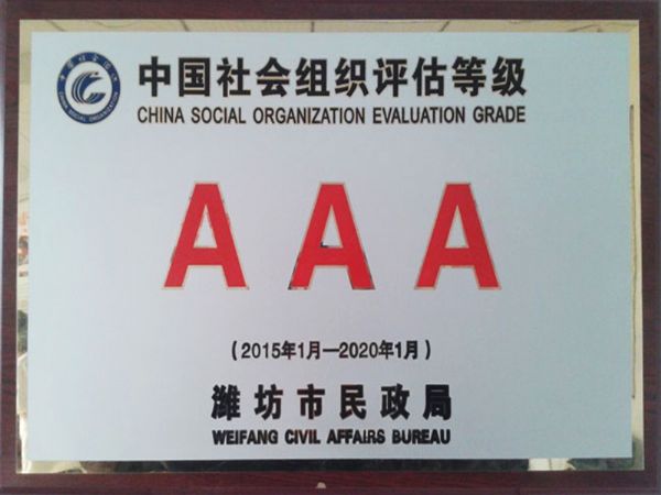 中國社會(huì)組織評估等級